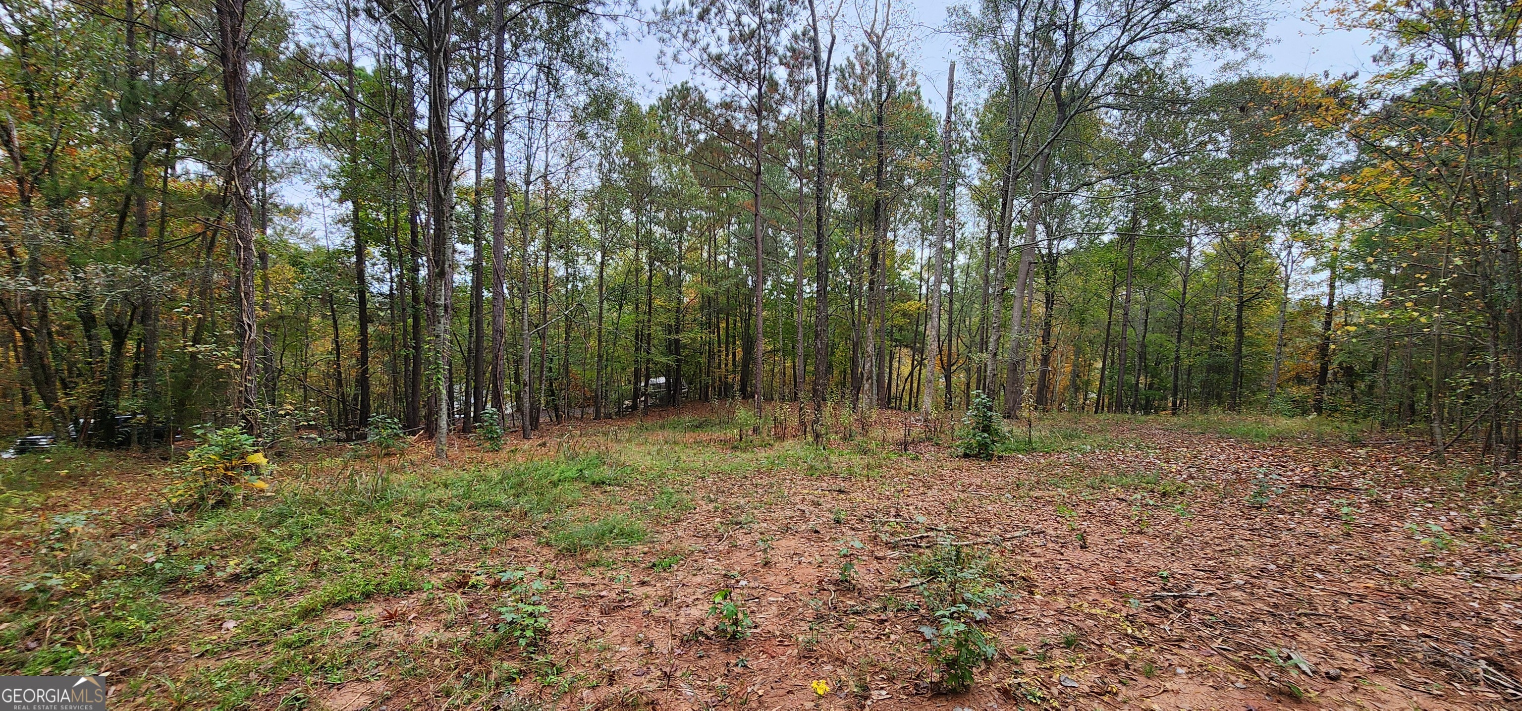 Land in Monticello 4