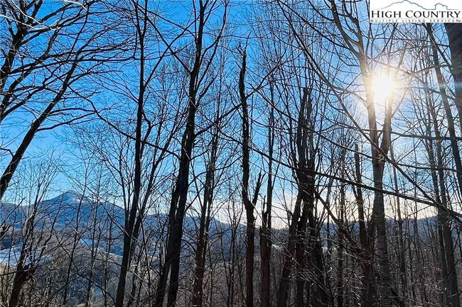 33 Paradise Valley Circle, Home with 0 bedrooms, 0 bathrooms and null parking in Creston NC | Image 5