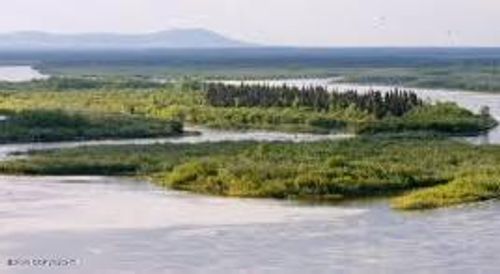 LP9, B2 Nushagak River, Dillingham, AK, 99576 | Card Image