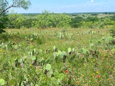 lot59 Comanche Lake Road, Home with 0 bedrooms, 0 bathrooms and null parking in Comanche TX | Image 2