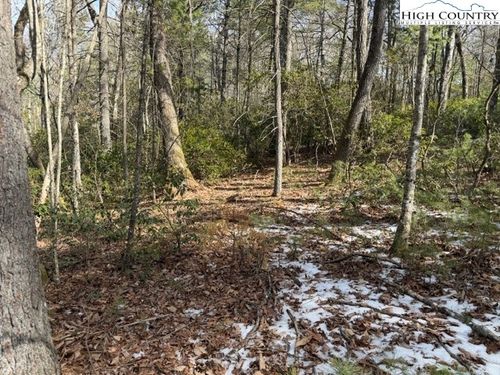 TBD Lot 18 Walden Lane, West Jefferson, NC, 28694 | Card Image
