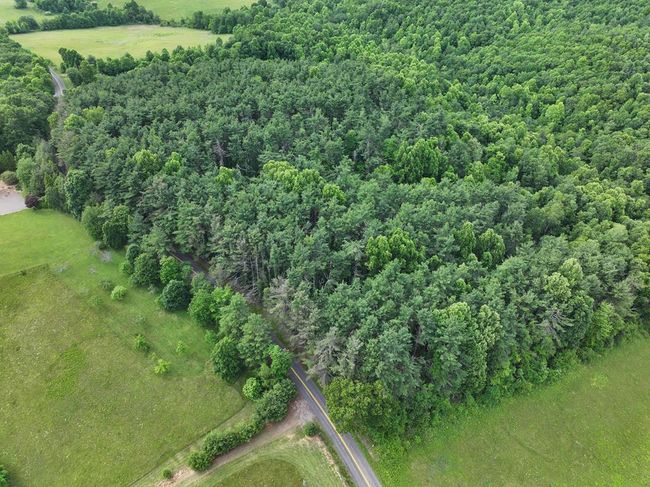0 Red Rough Rd, Home with 0 bedrooms, 0 bathrooms and null parking in Meadows of Dan VA | Image 9
