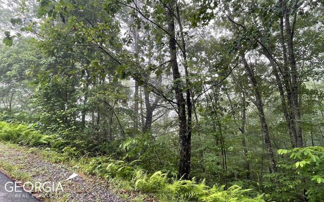 lot 7 Trillium Heights, Home with 0 bedrooms, 0 bathrooms and null parking in Hayesville NC | Image 12