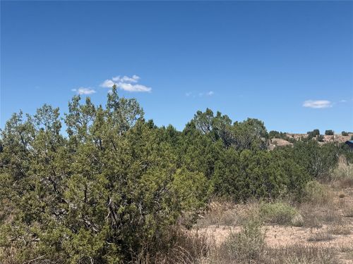 13 Rockridge, Cerrillos, NM, 87010 | Card Image
