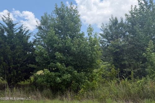 0 Kyle Rd, Senatobia, MS, 38668 | Card Image
