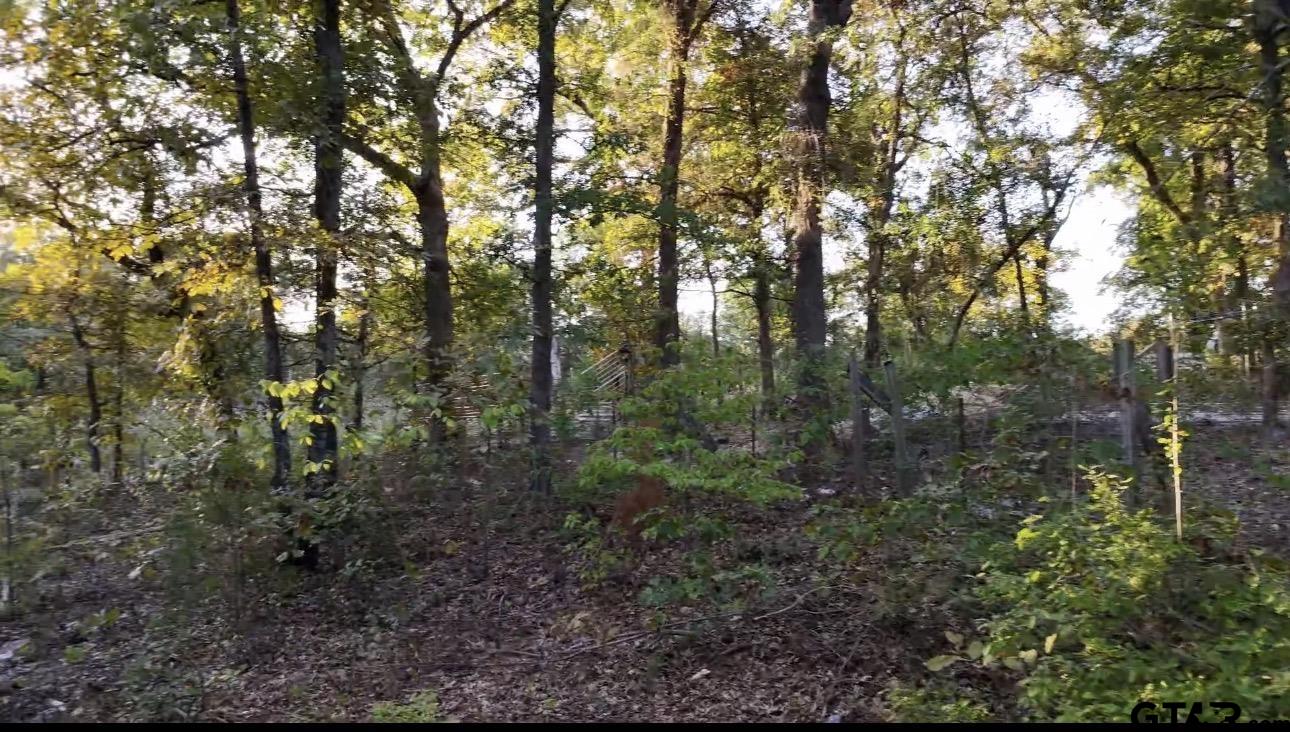 Land in Mineola 4