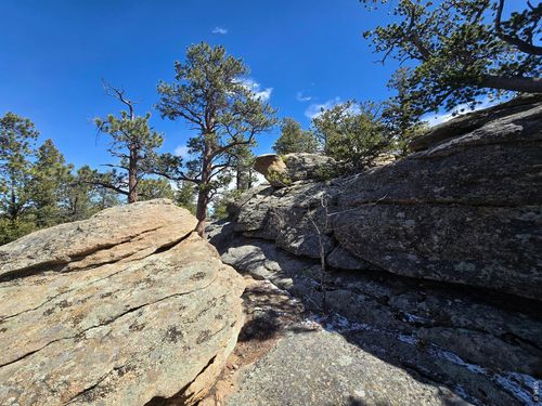 0 Sinisippi Rd, Red Feather Lakes, CO, 80545 | Card Image