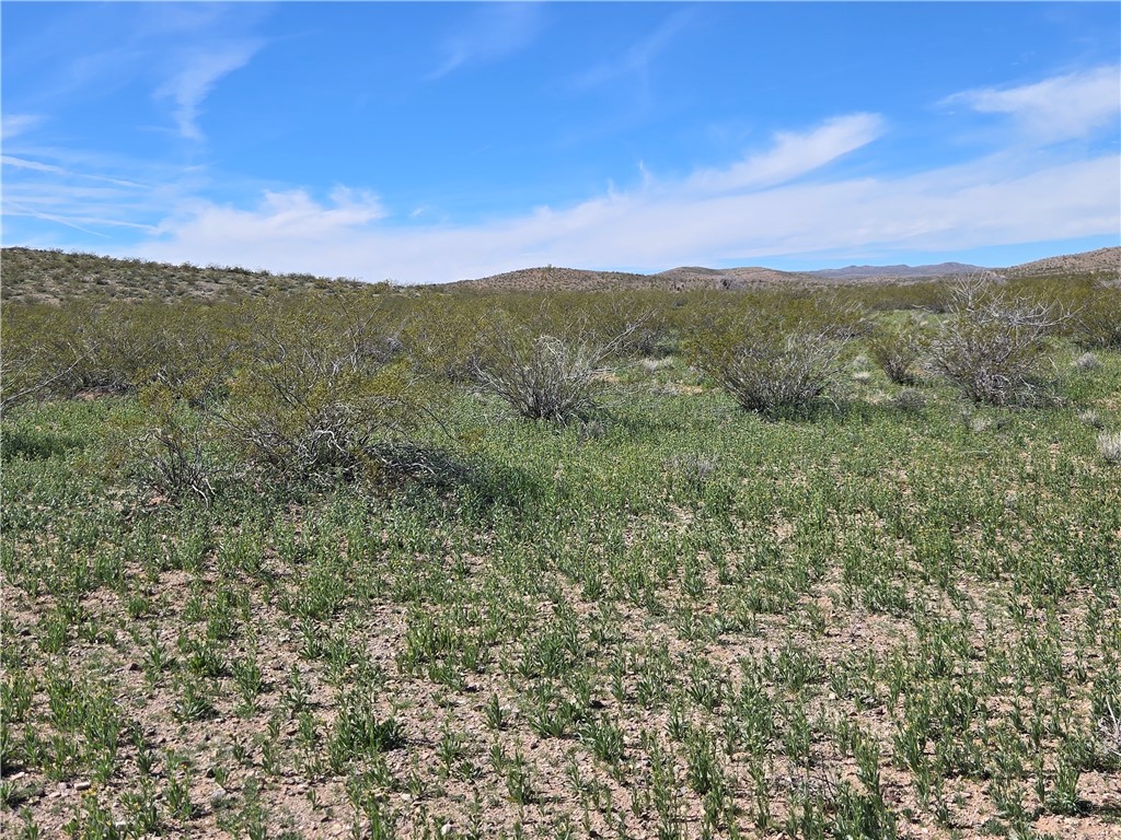 Land in Dolan Springs 2