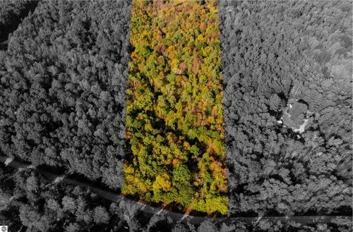V/L Rivers Terrace Road, Gladwin, MI, 48624 | Card Image