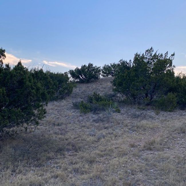 000 Private Rd 3922, Home with 0 bedrooms, 0 bathrooms and null parking in Miles TX | Image 15