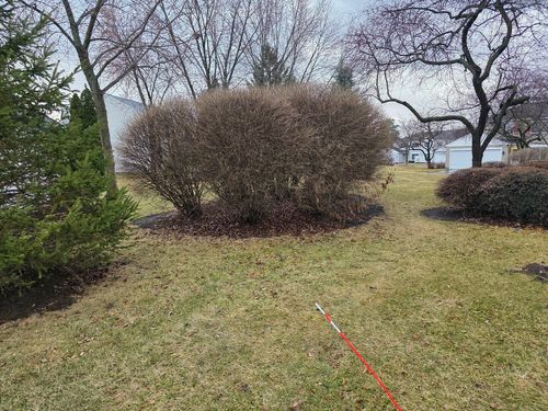 1372-1372 Normantown Rd, Naperville, IL, 60564-5620 | Card Image