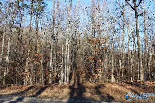 NA Raintree Dr, Centre, AL, 35960 | Card Image