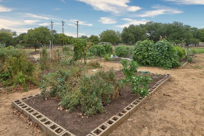 Community gardens walking distance to Elizabeth Milburn Park! | Image 37