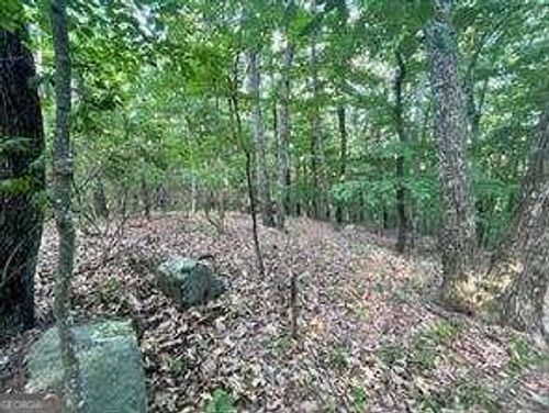 860 Cloudland Trce, Chickamauga, GA, 30707 | Card Image