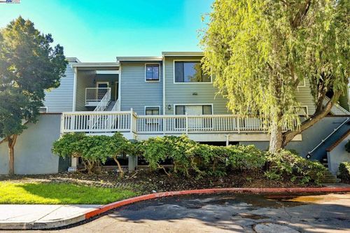 apt-202-3467 Pinewood Ter, Fremont, CA, 94536-7415 | Card Image