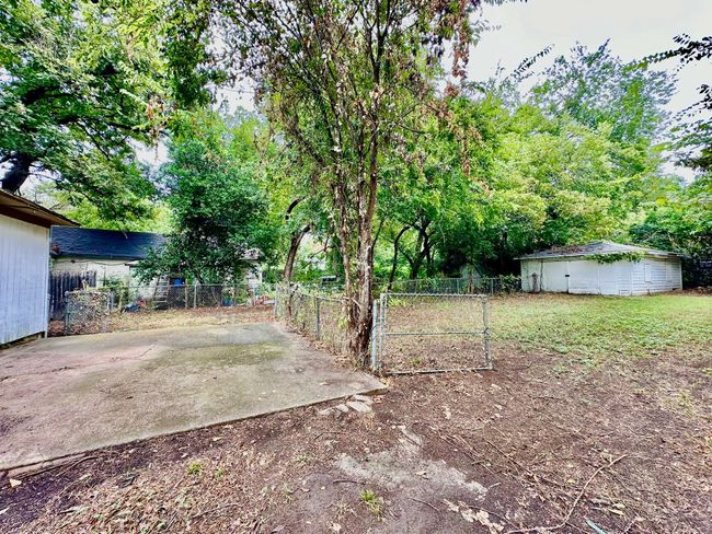 View of yard featuring a patio area | Image 11