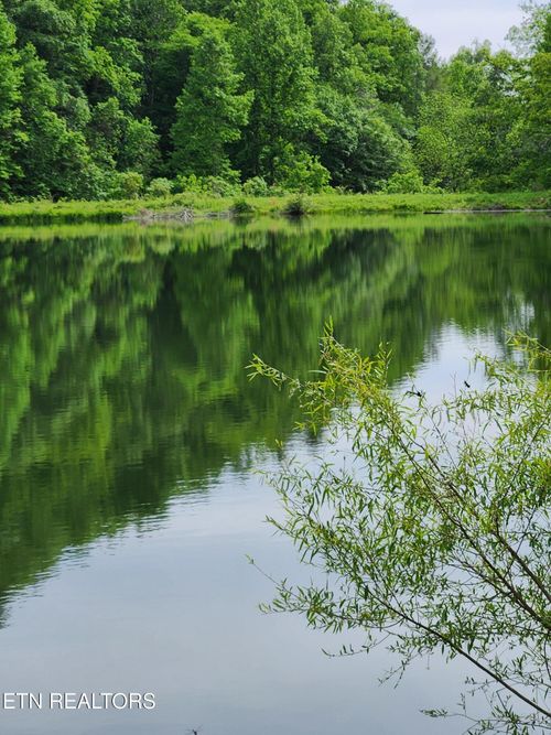 380 Seng Garden Rd, Tellico Plains, TN, 37385-6156 | Card Image