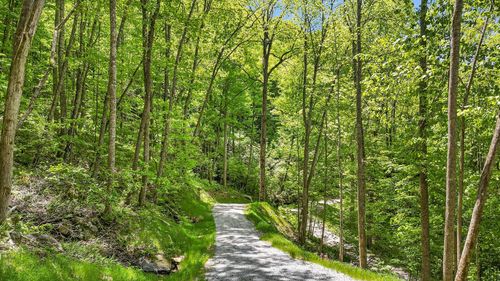 5 Von Trapp Ln, Tuckasegee, NC, 28783 | Card Image