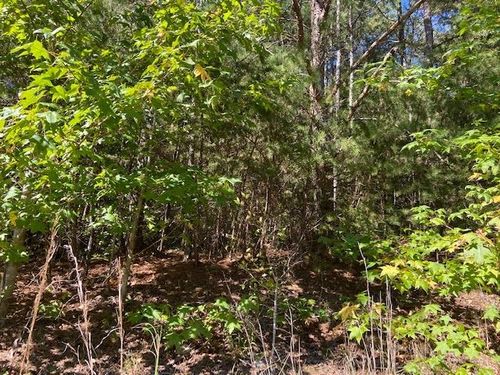00 Highway 142, Shiloh, TN, 38376 | Card Image