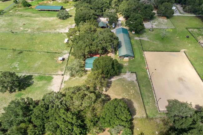 11046 Kitten Trl, Home with 3 bedrooms, 2 bathrooms and null parking in HUDSON FL | Image 10