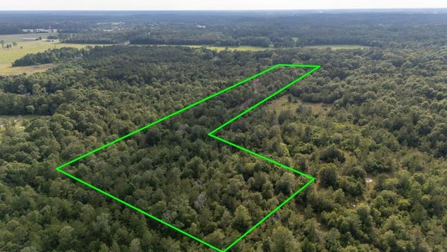 3705 Haynes Loop, Home with 0 bedrooms, 0 bathrooms and null parking in Kountze TX | Image 4