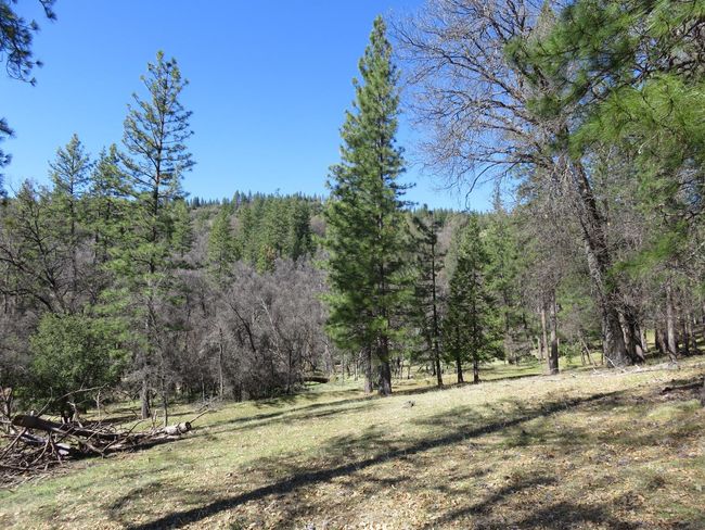 4196 Bald Mountain Rd, Home with 0 bedrooms, 0 bathrooms and null parking in West Point CA | Image 42