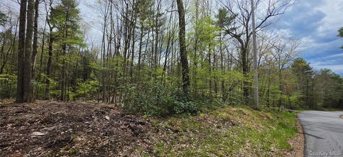 Lot 82 Perry Pond Rd, Narrowsburg, NY, 12764-5252 | Card Image