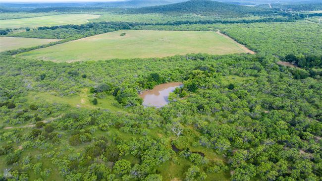 Drone / aerial view of a heavily wooded area | Image 13