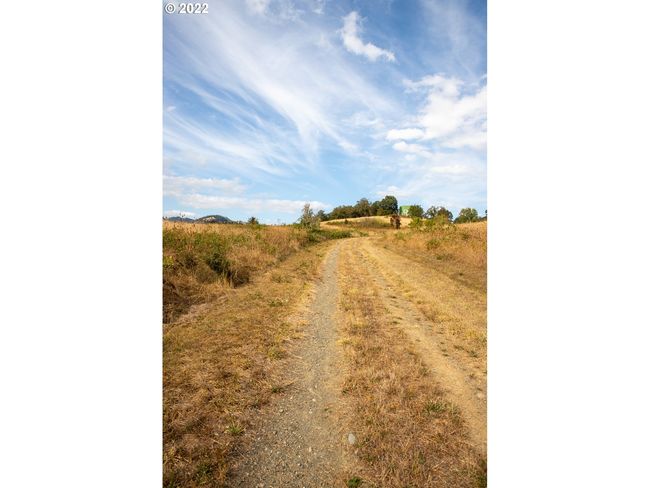 0 E 2 Nd Ave, Home with 0 bedrooms, 0 bathrooms and null parking in Riddle OR | Image 10