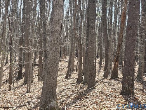 00 Equestrian Trail Rd, New Canton, VA, 23123 | Card Image