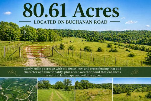 1584 Buchanan Rd, Branson, MO, 65616-8719 | Card Image