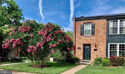 d516-516 Meadow Hall Dr, ROCKVILLE, MD, 20851-1556 | Card Image