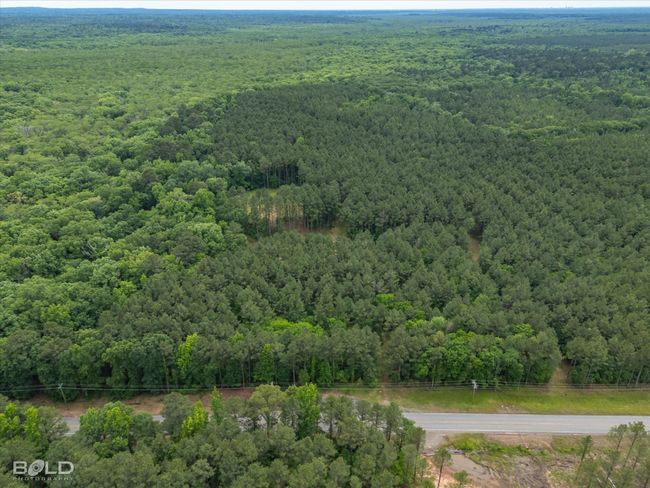 0 Highway 157, Home with 0 bedrooms, 0 bathrooms and null parking in Benton LA | Image 11