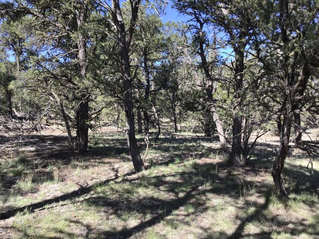 Lot 7 Red Fox Road, Home with 0 bedrooms, 0 bathrooms and null parking in Ramah NM | Image 12