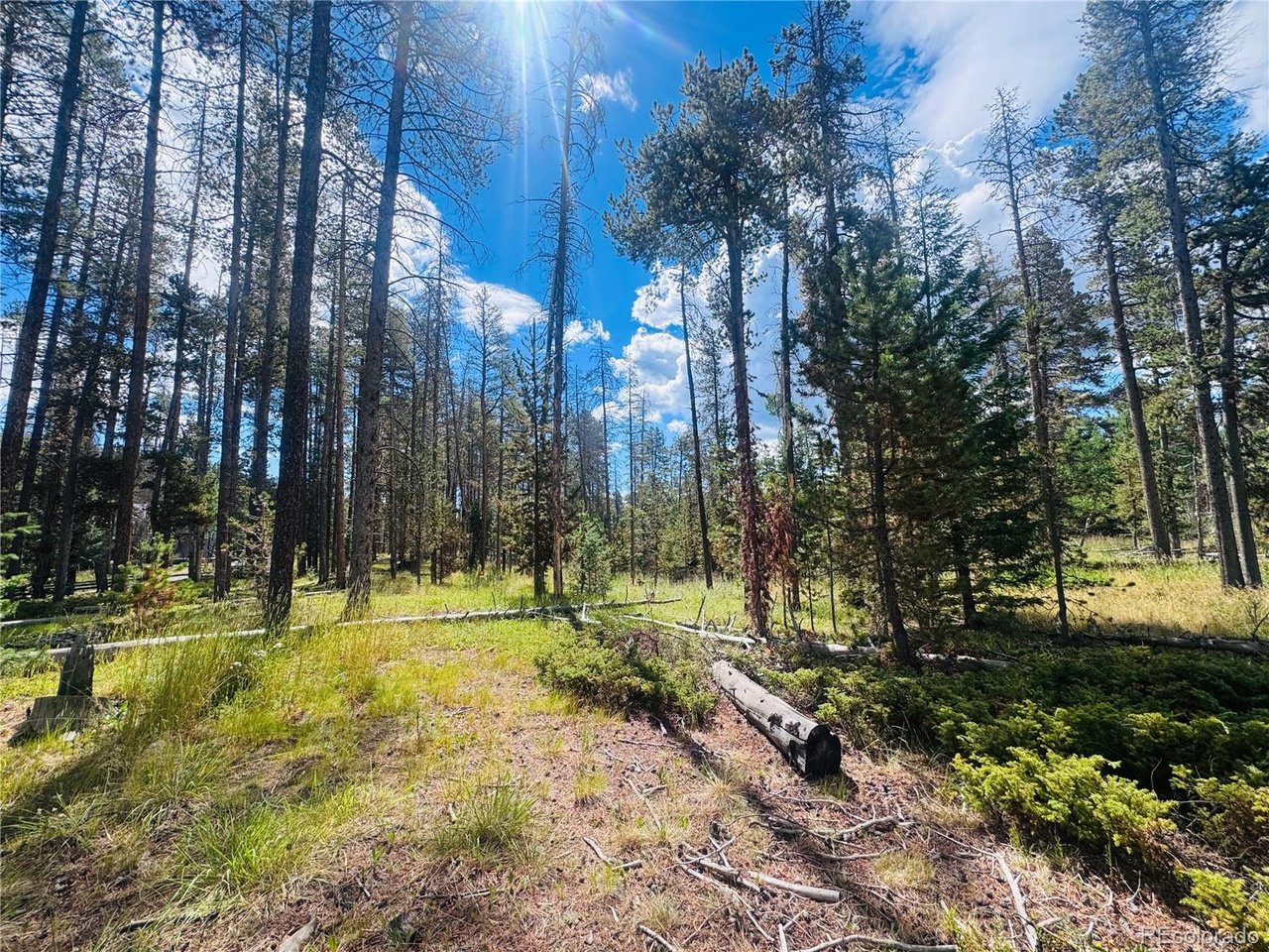 Land in Conifer 5