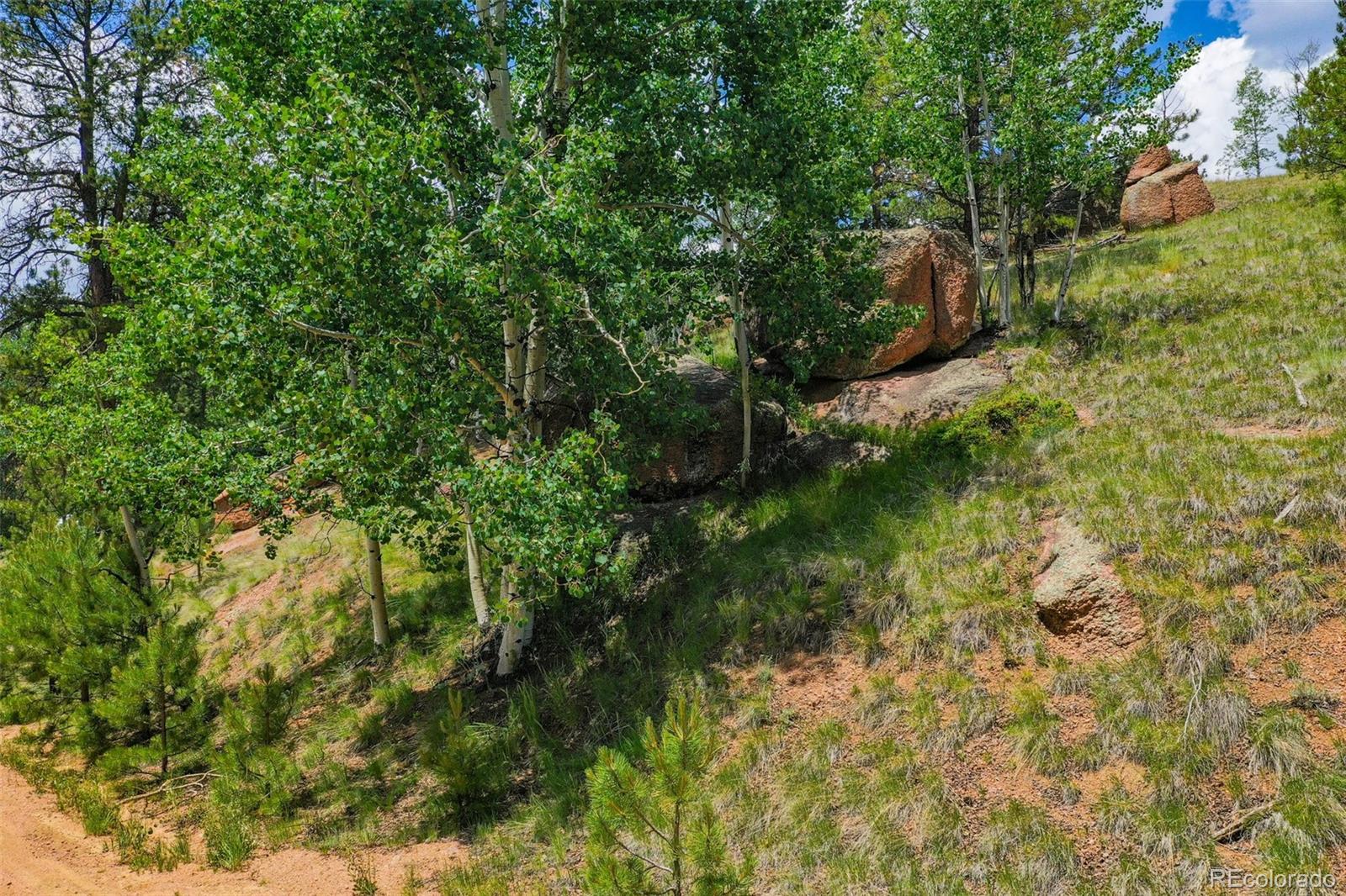 Land in Florissant 4