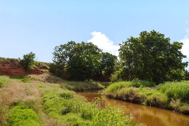Water on land in Sentinal, OK | Image 43