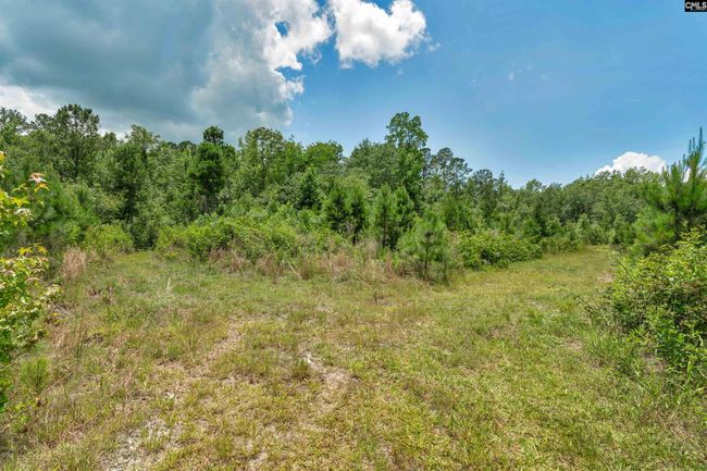 0000 N Brewington Rd, Home with 0 bedrooms, 0 bathrooms and null parking in Manning SC | Image 67