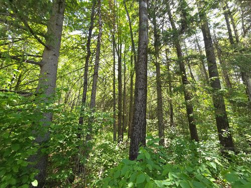 lot-6-ON Solberg Lake Rd E, Phillips, WI, 54555 | Card Image