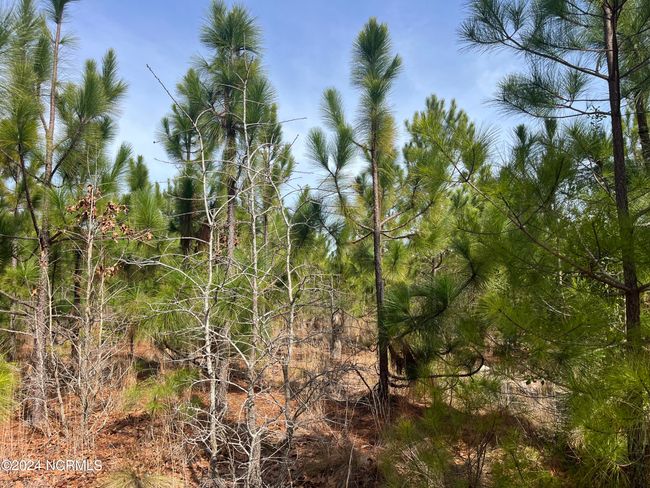 00 Us Highway 15 501, Home with 0 bedrooms, 0 bathrooms and null parking in Pinehurst NC | Image 15