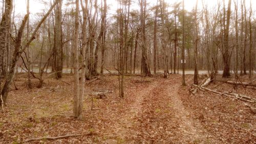 1188 Timberwood Trce, Monteagle, TN, 37356 | Card Image