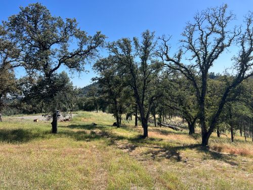 21 Strongbox Court, Browns Valley, CA, 95918 | Card Image