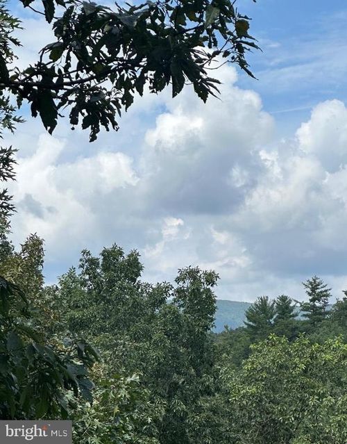 20 Ewells Ridge Rd, BASYE, VA, 22810 | Card Image