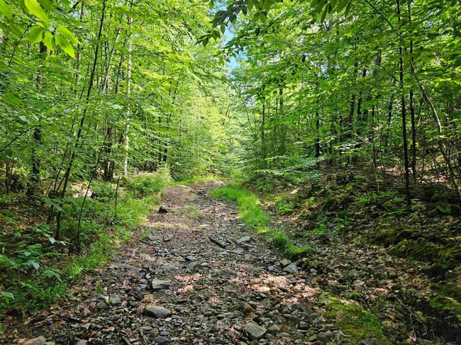 4000-ANDAMP-5000 - 00 Snowshoe Hill Rd, Home with 0 bedrooms, 0 bathrooms and null parking in Canterbury NH | Image 7