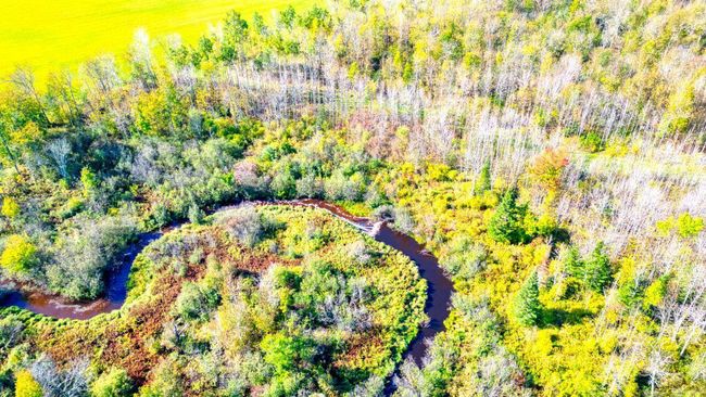 DJI_0221_hdr.jpg | Image 69