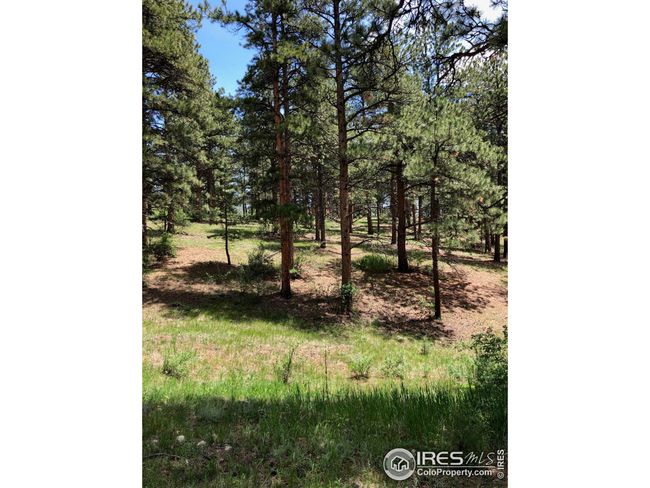 442 Quarter Circle Ln, Home with 0 bedrooms, 0 bathrooms and null parking in Evergreen CO | Image 10