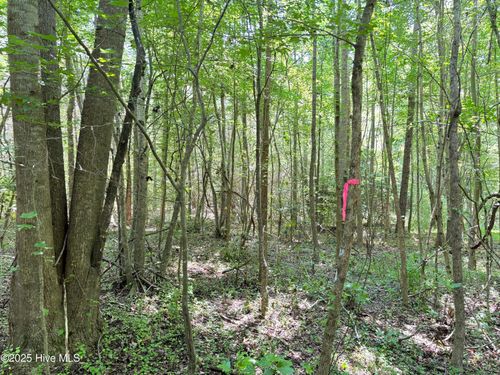 lot-22-22 Buckhorn Church Rd, Como, NC, 27818 | Card Image