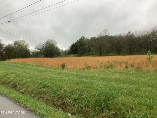 133 Woods Hollow Rd, Decatur, TN, 37322 | Card Image