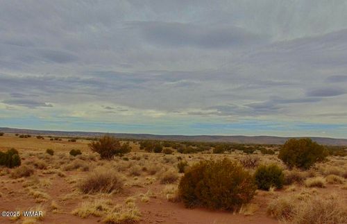 TBD County Rd 5407 204-50-330a, Concho, AZ, 85924 | Card Image