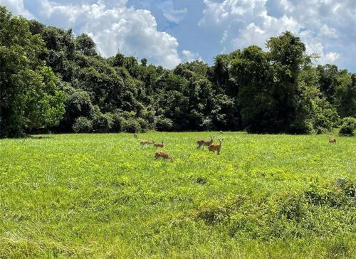 334 Lakeview Dr, Angleton, TX, 77515 | Card Image
